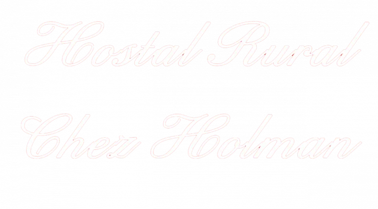 Logo Holman nuevo sin fondo